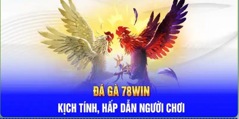 Đôi nét sơ lược về đá gà 78WIN